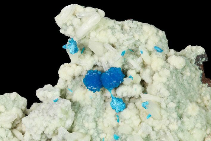 Vibrant Blue Cavansite Clusters on Stilbite - India #168252